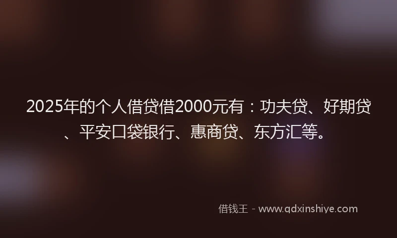 2025年的个人借贷借2000元有：功夫贷、好期贷、平安口袋银行、惠商贷、东方汇等。