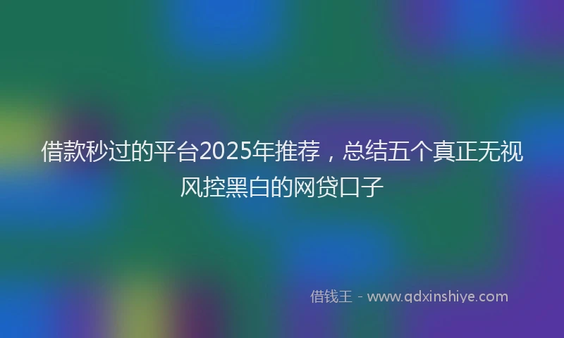 借款秒过的平台2025年推荐，总结五个真正无视风控黑白的网贷口子