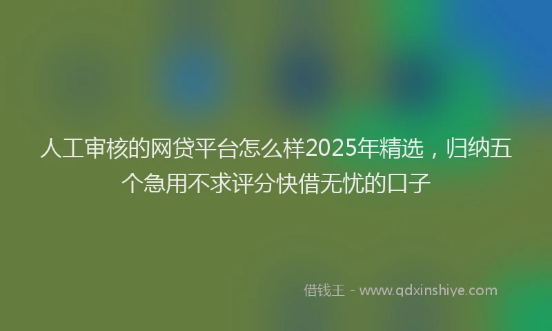 人工审核的网贷平台怎么样2025年精选，归纳五个急用不求评分快借无忧的口子