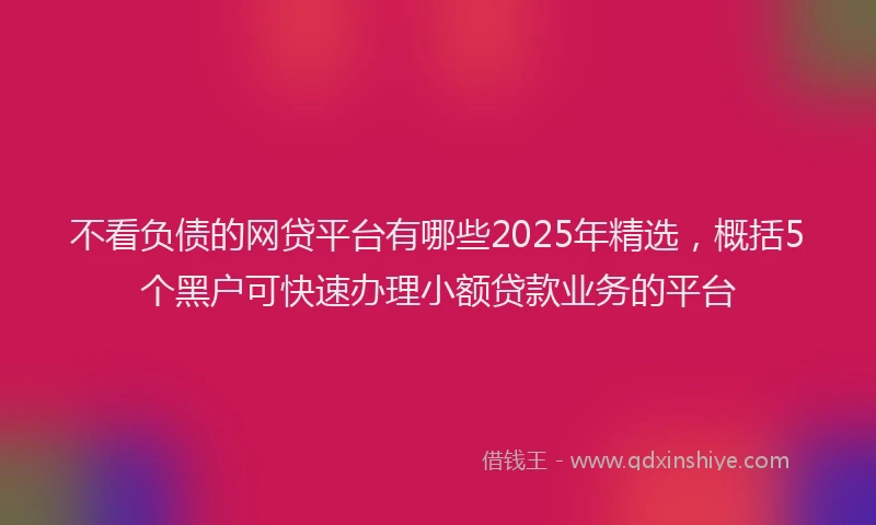 不看负债的网贷平台有哪些2025年精选，概括5个黑户可快速办理小额贷款业务的平台