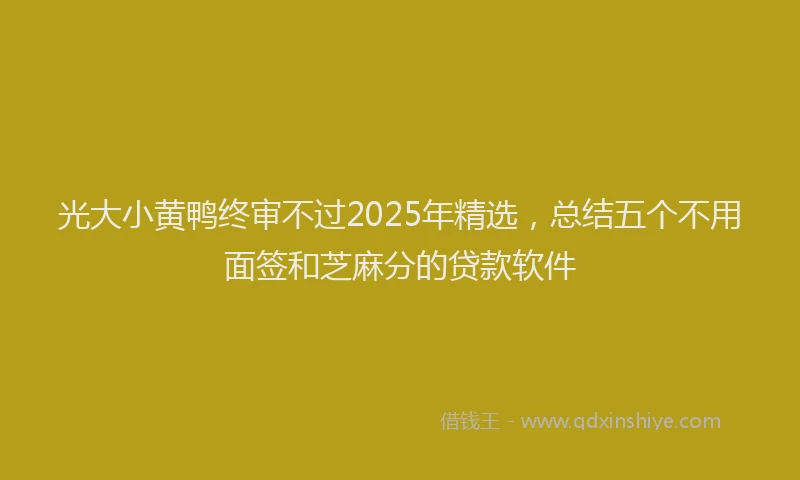 光大小黄鸭终审不过2025年精选，总结五个不用面签和芝麻分的贷款软件