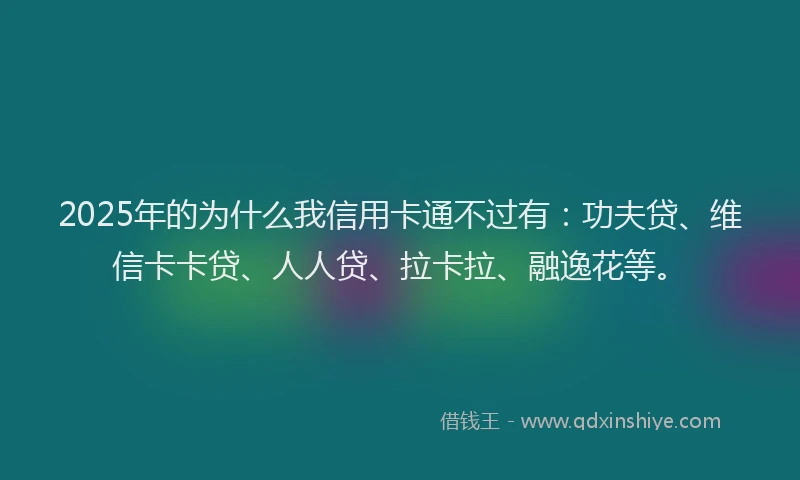 2025年的为什么我信用卡通不过有：功夫贷、维信卡卡贷、人人贷、拉卡拉、融逸花等。