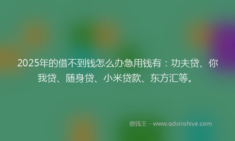 2025年的借不到钱怎么办急用钱有：功夫贷、你我贷、随身贷、小米贷款、东方汇等。