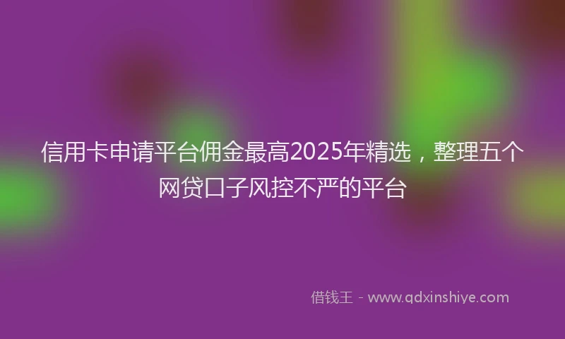 信用卡申请平台佣金最高2025年精选，整理五个网贷口子风控不严的平台