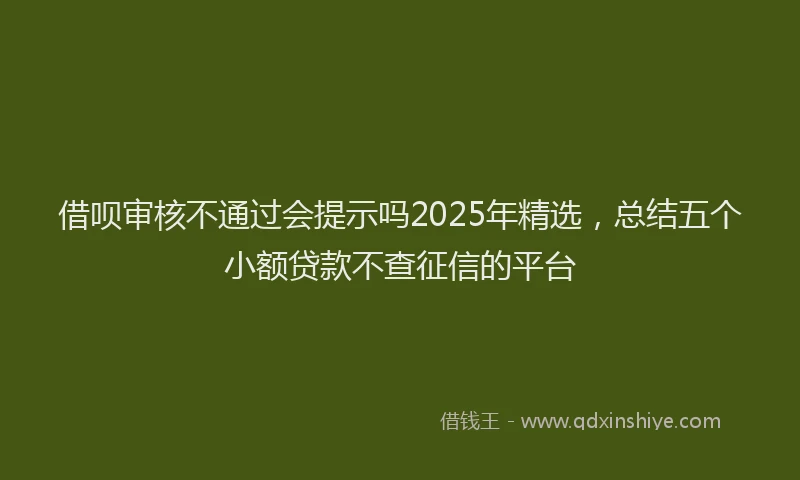 借呗审核不通过会提示吗2025年精选，总结五个小额贷款不查征信的平台