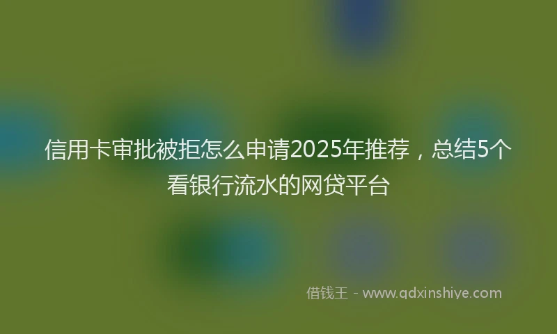 信用卡审批被拒怎么申请2025年推荐，总结5个看银行流水的网贷平台