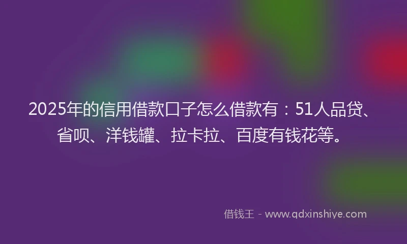 2025年的信用借款口子怎么借款有：51人品贷、省呗、洋钱罐、拉卡拉、百度有钱花等。