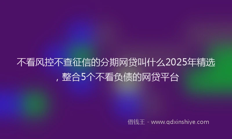 不看风控不查征信的分期网贷叫什么2025年精选，整合5个不看负债的网贷平台