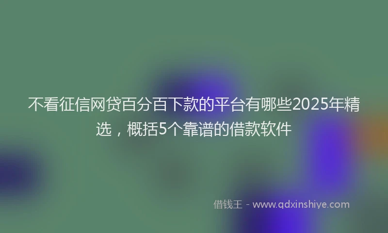 不看征信网贷百分百下款的平台有哪些2025年精选，概括5个靠谱的借款软件