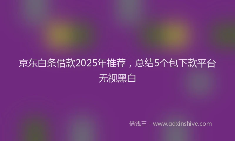 京东白条借款2025年推荐，总结5个包下款平台无视黑白