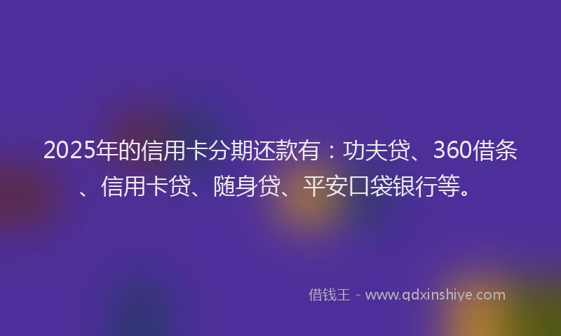 2025年的信用卡分期还款有：功夫贷、360借条、信用卡贷、随身贷、平安口袋银行等。