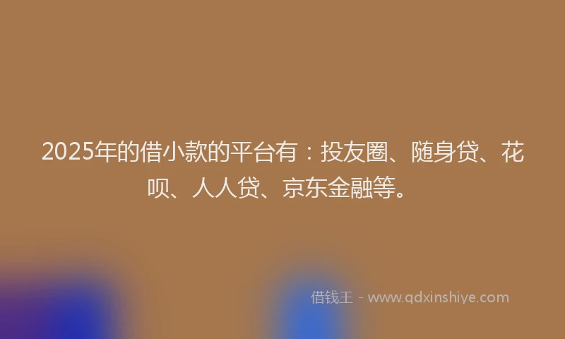 2025年的借小款的平台有：投友圈、随身贷、花呗、人人贷、京东金融等。