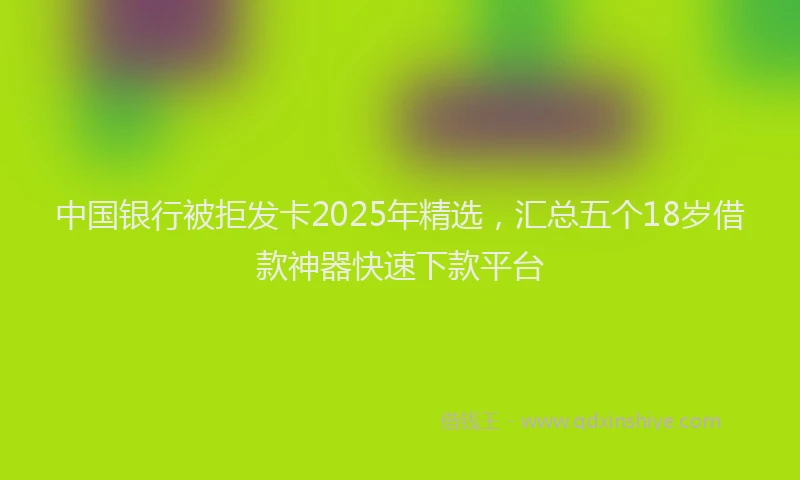 中国银行被拒发卡2025年精选，汇总五个18岁借款神器快速下款平台