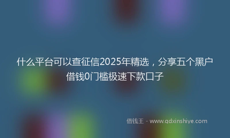 什么平台可以查征信2025年精选，分享五个黑户借钱0门槛极速下款口子