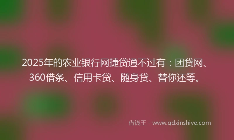 2025年的农业银行网捷贷通不过有：团贷网、360借条、信用卡贷、随身贷、替你还等。