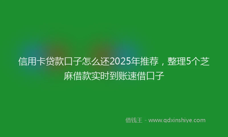 信用卡贷款口子怎么还2025年推荐，整理5个芝麻借款实时到账速借口子