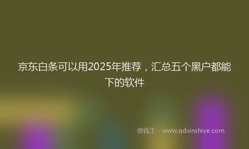 京东白条可以用2025年推荐，汇总五个黑户都能下的软件