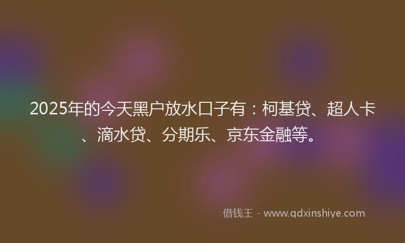 2025年的今天黑户放水口子有：柯基贷、超人卡、滴水贷、分期乐、京东金融等。