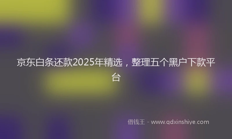京东白条还款2025年精选，整理五个黑户下款平台