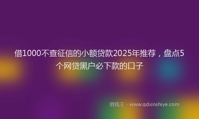 借1000不查征信的小额贷款2025年推荐，盘点5个网贷黑户必下款的口子