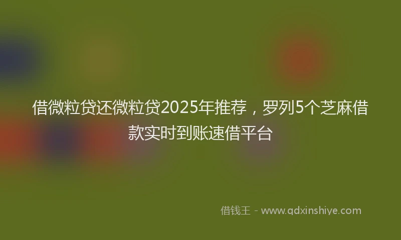 借微粒贷还微粒贷2025年推荐，罗列5个芝麻借款实时到账速借平台