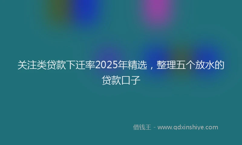 关注类贷款下迁率2025年精选，整理五个放水的贷款口子