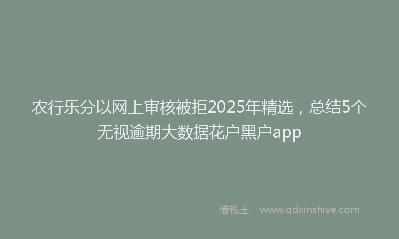 农行乐分以网上审核被拒2025年精选，总结5个无视逾期大数据花户黑户app