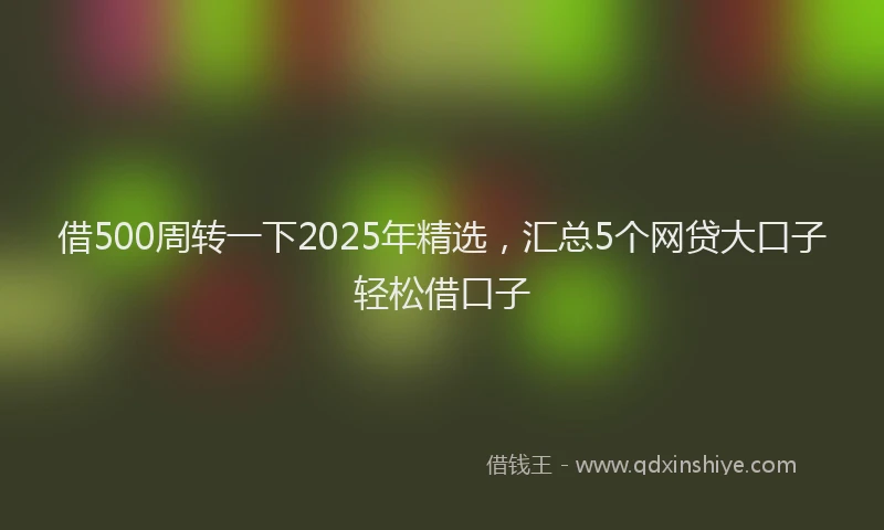 借500周转一下2025年精选，汇总5个网贷大口子轻松借口子