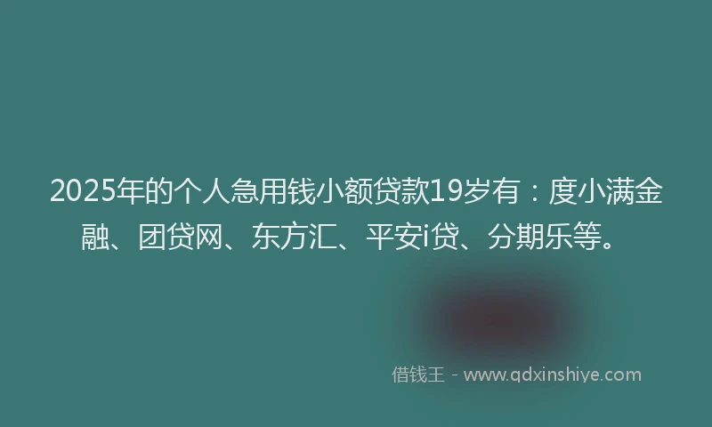 2025年的个人急用钱小额贷款19岁有：度小满金融、团贷网、东方汇、平安i贷、分期乐等。