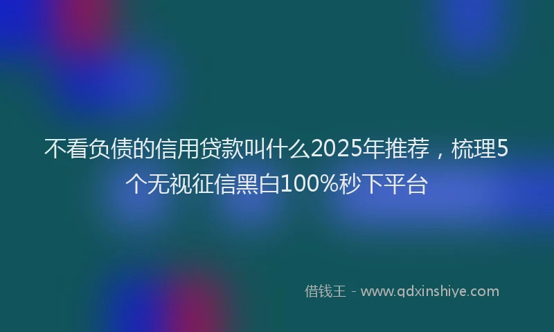 不看负债的信用贷款叫什么2025年推荐，梳理5个无视征信黑白100%秒下平台