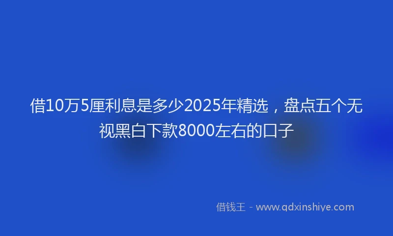 借10万5厘利息是多少2025年精选，盘点五个无视黑白下款8000左右的口子