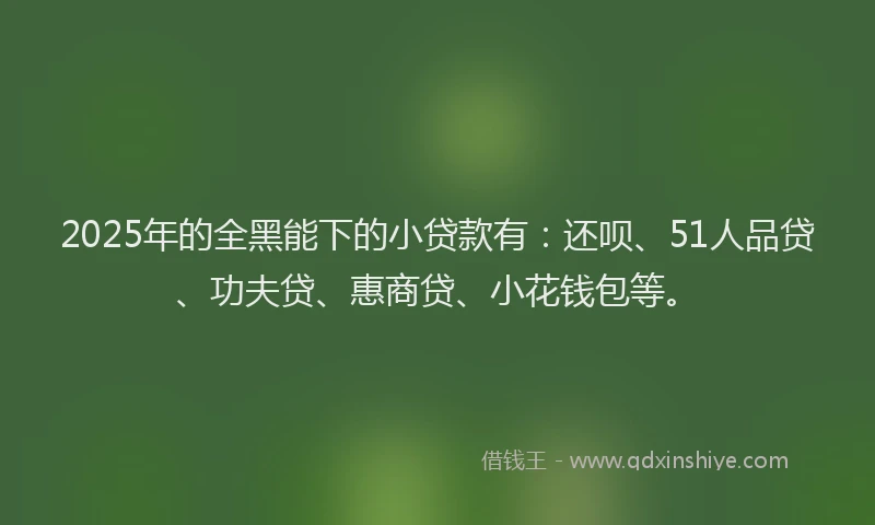 2025年的全黑能下的小贷款有：还呗、51人品贷、功夫贷、惠商贷、小花钱包等。