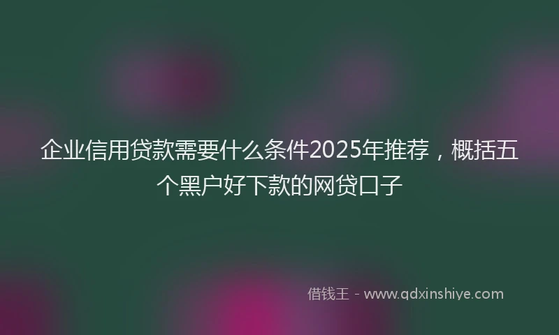 企业信用贷款需要什么条件2025年推荐，概括五个黑户好下款的网贷口子