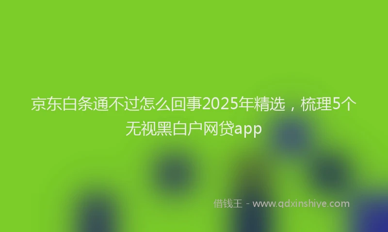 京东白条通不过怎么回事2025年精选，梳理5个无视黑白户网贷app