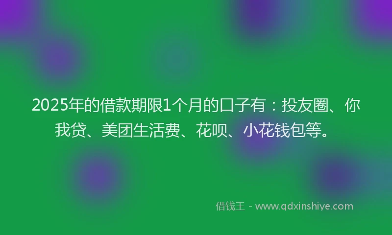 2025年的借款期限1个月的口子有：投友圈、你我贷、美团生活费、花呗、小花钱包等。