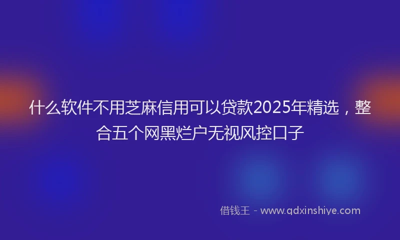 什么软件不用芝麻信用可以贷款2025年精选，整合五个网黑烂户无视风控口子