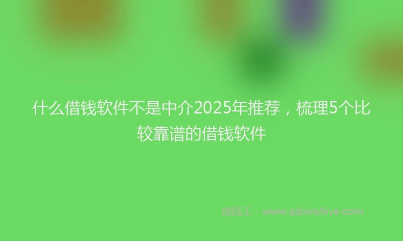什么借钱软件不是中介2025年推荐，梳理5个比较靠谱的借钱软件