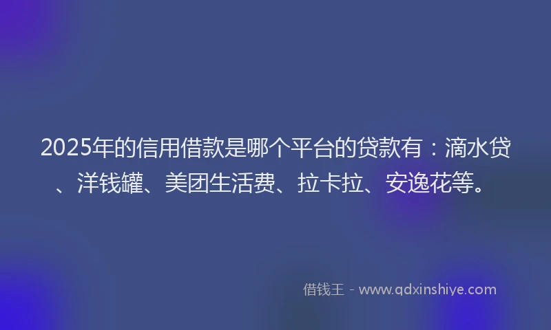 2025年的信用借款是哪个平台的贷款有：滴水贷、洋钱罐、美团生活费、拉卡拉、安逸花等。