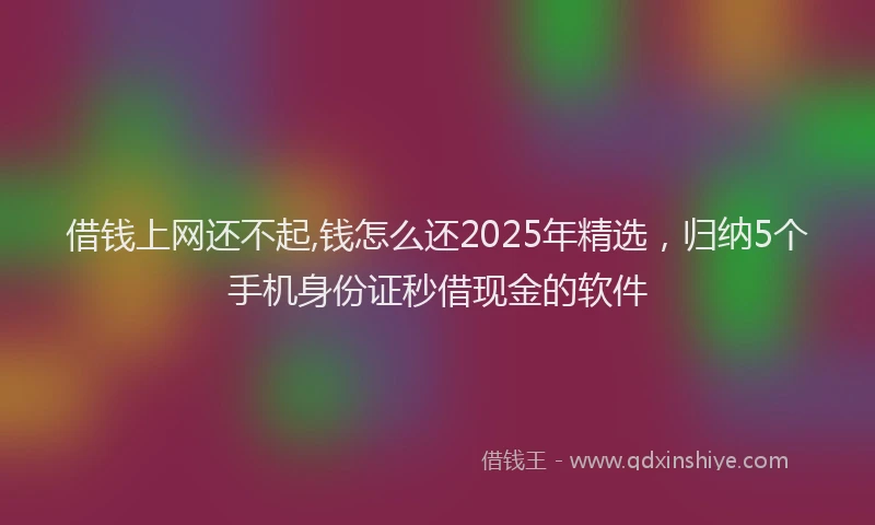 借钱上网还不起,钱怎么还2025年精选，归纳5个手机身份证秒借现金的软件