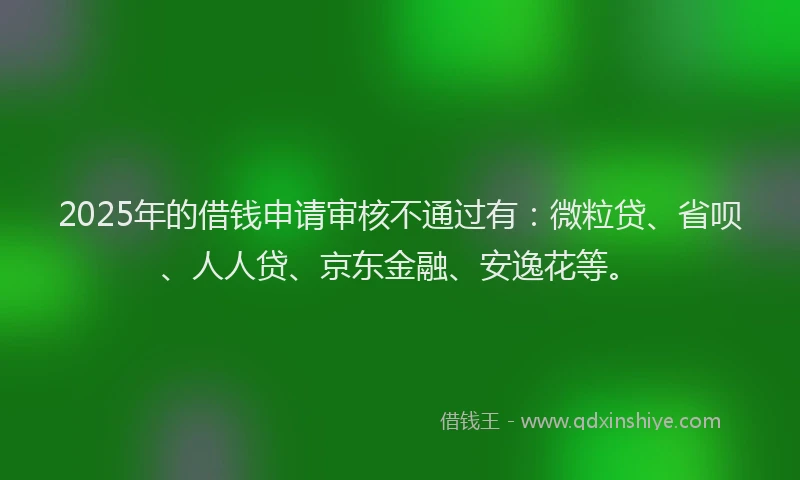 2025年的借钱申请审核不通过有：微粒贷、省呗、人人贷、京东金融、安逸花等。