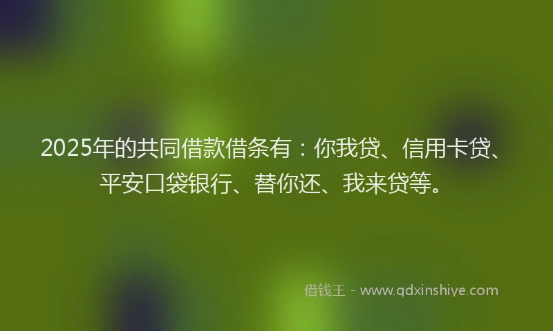 2025年的共同借款借条有：你我贷、信用卡贷、平安口袋银行、替你还、我来贷等。