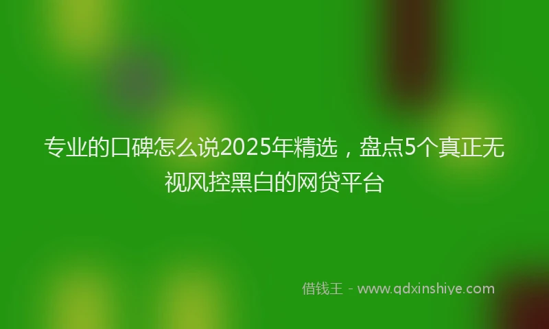 专业的口碑怎么说2025年精选，盘点5个真正无视风控黑白的网贷平台