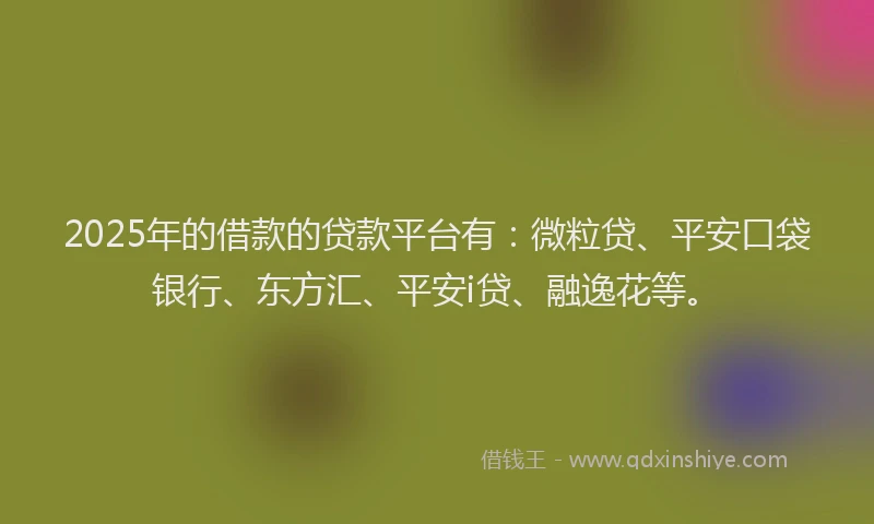 2025年的借款的贷款平台有：微粒贷、平安口袋银行、东方汇、平安i贷、融逸花等。