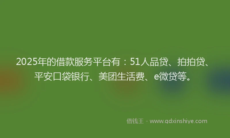 2025年的借款服务平台有：51人品贷、拍拍贷、平安口袋银行、美团生活费、e微贷等。