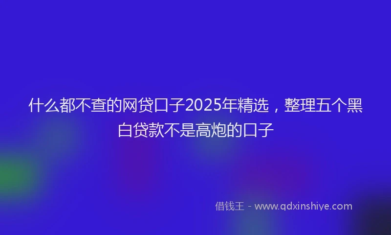 什么都不查的网贷口子2025年精选，整理五个黑白贷款不是高炮的口子
