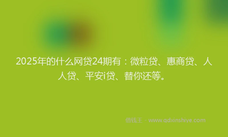 2025年的什么网贷24期有：微粒贷、惠商贷、人人贷、平安i贷、替你还等。