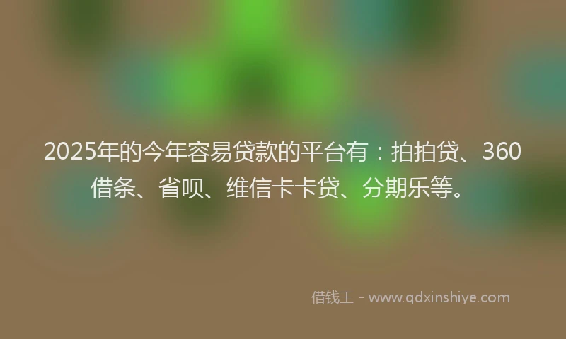 2025年的今年容易贷款的平台有：拍拍贷、360借条、省呗、维信卡卡贷、分期乐等。