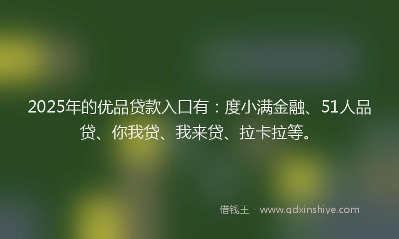 2025年的优品贷款入口有：度小满金融、51人品贷、你我贷、我来贷、拉卡拉等。