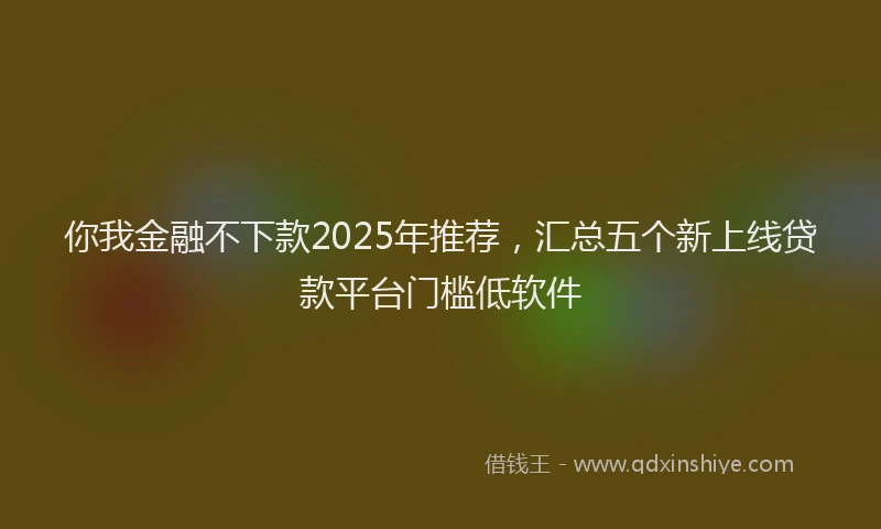 你我金融不下款2025年推荐，汇总五个新上线贷款平台门槛低软件