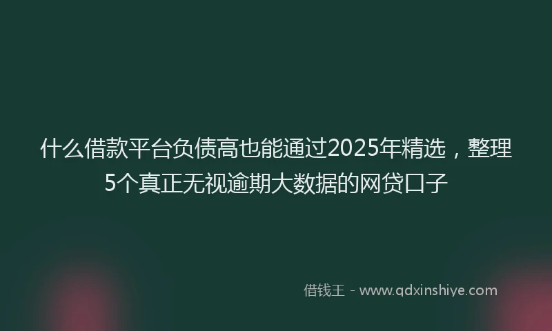 什么借款平台负债高也能通过2025年精选，整理5个真正无视逾期大数据的网贷口子
